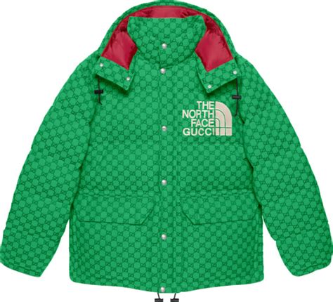 the north face gucci vert|the north face gucci prices.